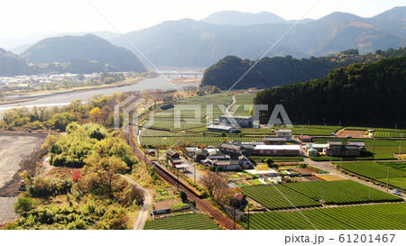 大井川鐵道と紅葉 大井川鐵道と紅葉 61201467