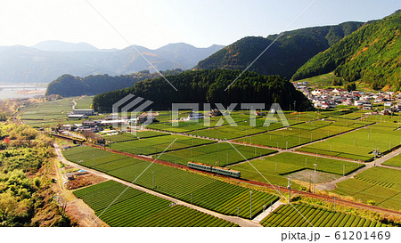 大井川鐵道と紅葉 61201469