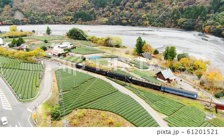 大井川鐵道と紅葉 大井川鐵道と紅葉 61201521