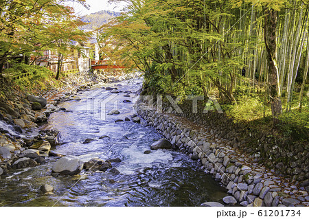 （静岡県）修善寺温泉　桂川の紅葉 61201734