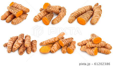 Set or collection turmeric powder and turmeric root isolated on white background with copy space for your text. Top view. Flat lay 61202386