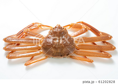 カニ 61202828