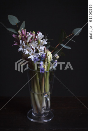 Close-up of hyacinths and eucalyptus branch in a Close-up of hyacinths and eucalyptus branch in a 61203316