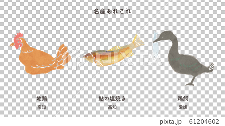 Specialties 11 Specialties 11 61204602