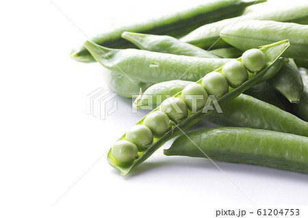 グリーンピース15 61204753