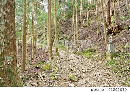 【舎心山 常住院 太龍寺 (舎心ヶ嶽)】 (四国霊場第21番札所) 徳島県阿南市加茂町龍山 61205039