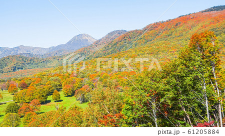 笹ヶ峰高原 秋の写真素材 6154