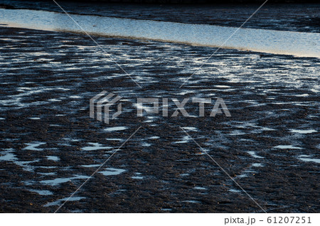 冬の水辺 湿地の夕景 e 冬の水辺 湿地の夕景 e 61207251