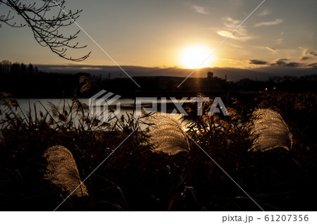 冬の水辺 川越 伊佐沼の夕景　c-3 暗め 61207356