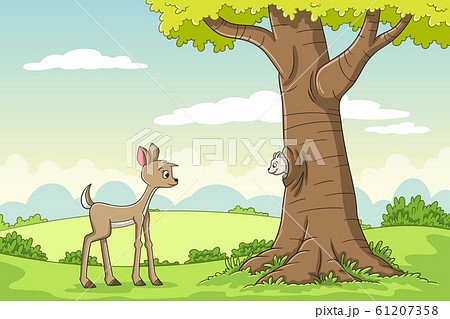 Deer And Squirrel 61207358
