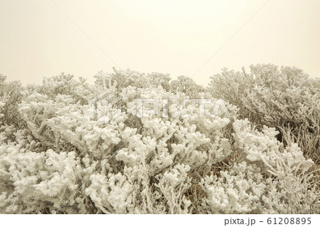 徳裕山 ヒャンジョクボン ソルチョンボン 61208895