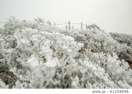 徳裕山 ヒャンジョクボン ソルチョンボン 61208896