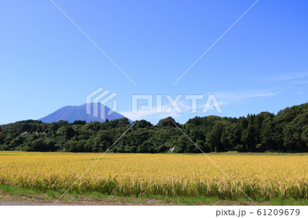 岩手山と実る稲穂 61209679