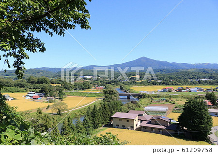 川崎緑地からの姫神山眺望 川崎緑地からの姫神山眺望 61209758