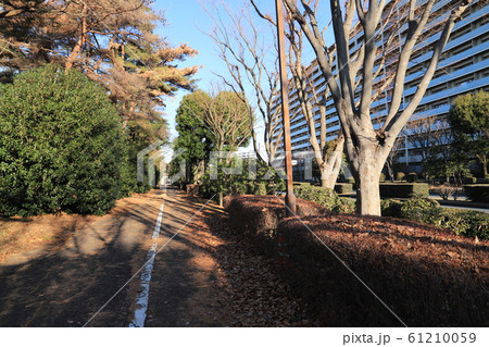 つくば市、学園東大通り つくば市、学園東大通り 61210059