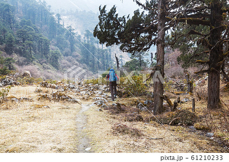 Hike in Nepal jungle 61210233