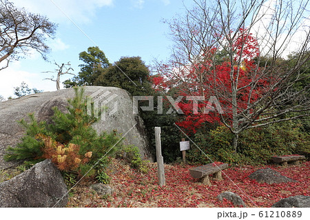 笠置山もみじ公園 笠置山もみじ公園 61210889
