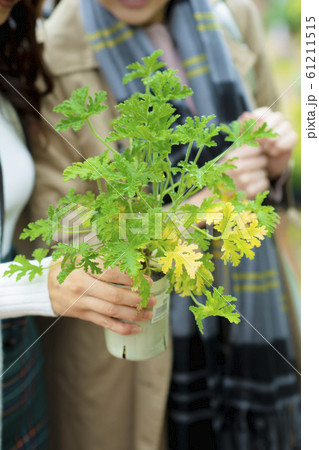 鉢植えを手にとる女性 61211515