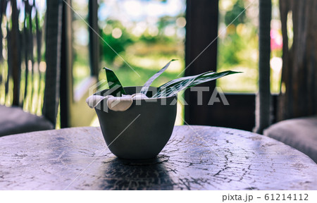 Cup of flower for decoration Cup of flower for decoration 61214112