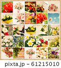 Set of 25 floral pictures on grunge old paper 61215010