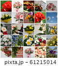 Set of 25 floral pictures for your design 61215014