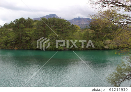 福島県の裏磐梯の五色沼 福島県の裏磐梯の五色沼 61215930