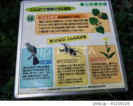京都トレイル:深草コース 京都トレイル:深草コース 61216126