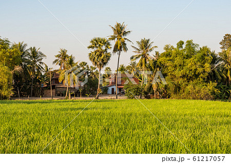 Beautiful Countryside trip in tropical rural Beautiful Countryside trip in tropical rural 61217057