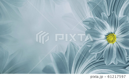 Floral light turquoise beautiful background. Floral light turquoise beautiful background. 61217597