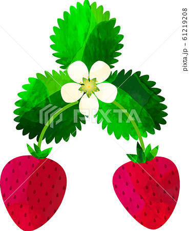 いちご 苺 ストロベリー 背景素材 イラストのイラスト素材