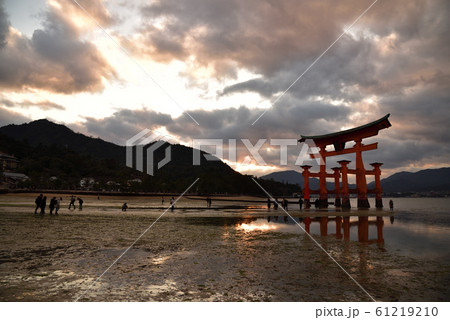 <広島県>宮島　厳島神社（嚴島神社）の大鳥居 61219210