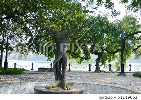 A Front or back yard Garden Topiary Forms and Topiary Art and craft. 61219663