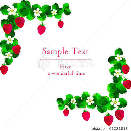 いちご 苺 葉っぱ 葉 花 ストロベリー 背景素材 ライン 枠 帯のイラスト素材