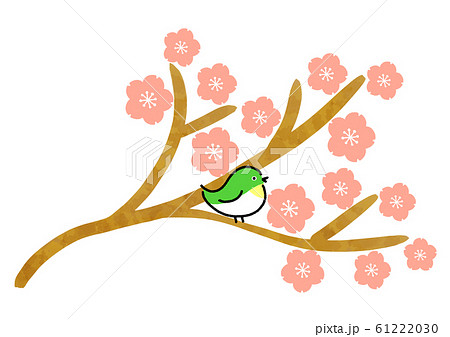 桜　めじろ 61222030