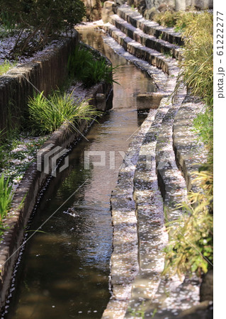 八か村落し親水緑道　足立区東綾瀬公園付近 61222277