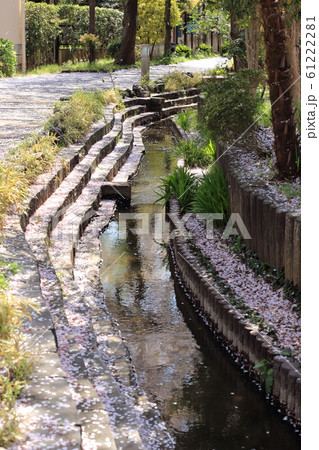 八か村落し親水緑道　足立区東綾瀬公園付近 61222281