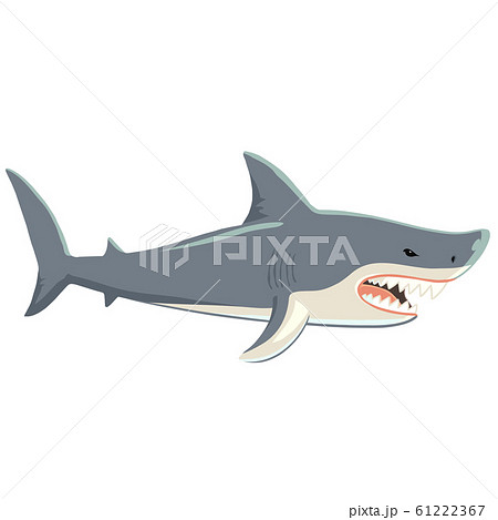 凶暴なサメの全身イラスト 横姿のイラスト素材 61222367 Pixta