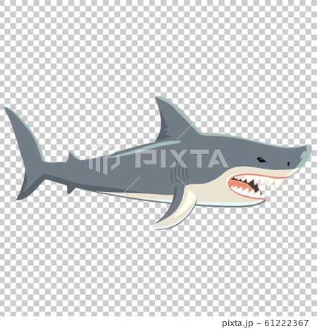 凶暴なサメの全身イラスト 横姿のイラスト素材
