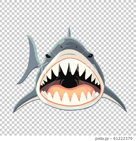 凶暴なサメの正面イラスト のイラスト素材