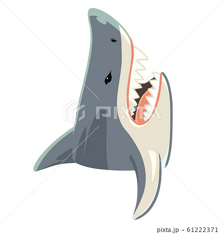 凶暴なサメのイラスト 上向きのイラスト素材