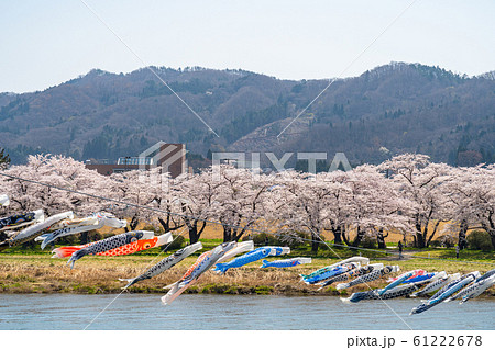 北上展勝地さくらまつり　満開の桜　春　観光名所　自然　青空　晴れ　カラフル　東北地方 61222678