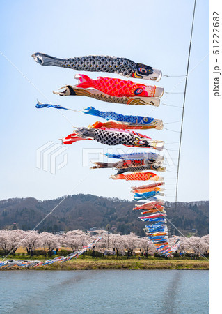 北上展勝地さくらまつり 満開の桜 春 観光名所 自然 青空 晴れ カラフル 東北地方 北上展勝地さくらまつり 満開の桜 春 観光名所 自然 青空 晴れ カラフル 東北地方 61222682