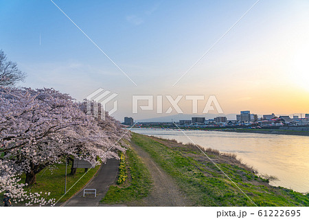 北上展勝地さくらまつり 満開の桜 春 観光名所 自然 青空 晴れ カラフル 東北地方 北上展勝地さくらまつり 満開の桜 春 観光名所 自然 青空 晴れ カラフル 東北地方 61222695