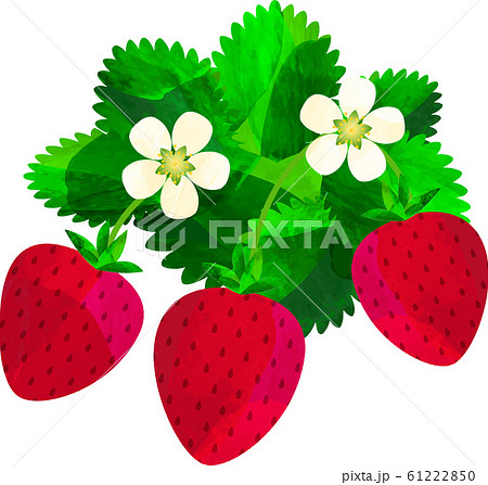 いちご 苺 ストロベリー 背景素材 イラストのイラスト素材