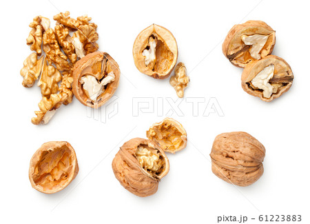 Walnuts Isolated On White Background 61223883