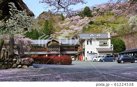 河辺ふるさとの宿の桜 61224538