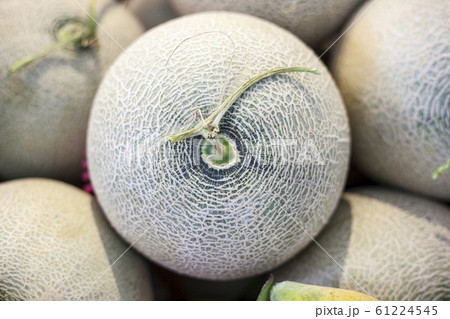 フルーツ 果物 果実 61224545