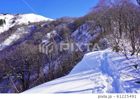 巻機山への登山道 61225491