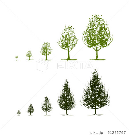 Stages of growing tree for your design 61225767