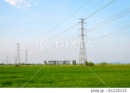 High voltage power transmission pole in the green field 61226123